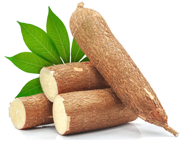 Cassava